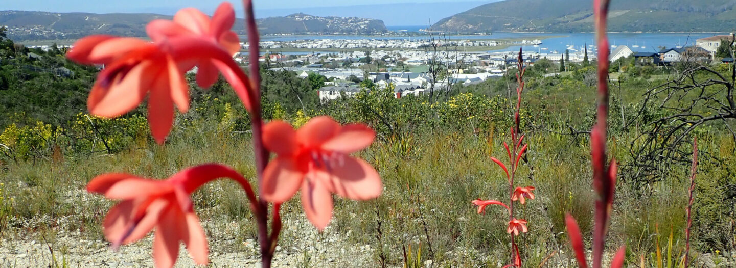Pledge Nature Reserve