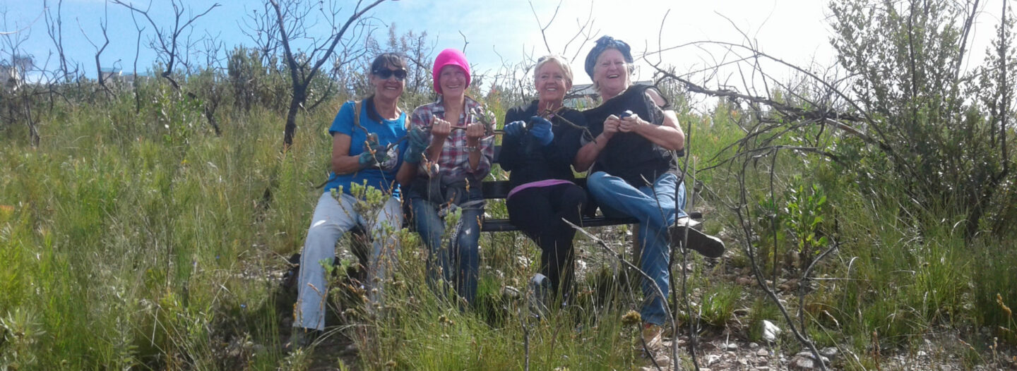 Friends of Pledge Nature Reserve