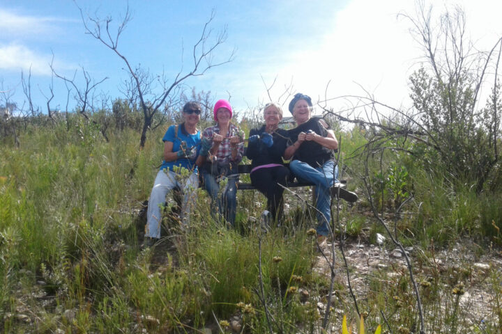 Friends of Pledge Nature Reserve
